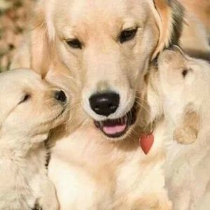 Meet your Posher, Beatriz